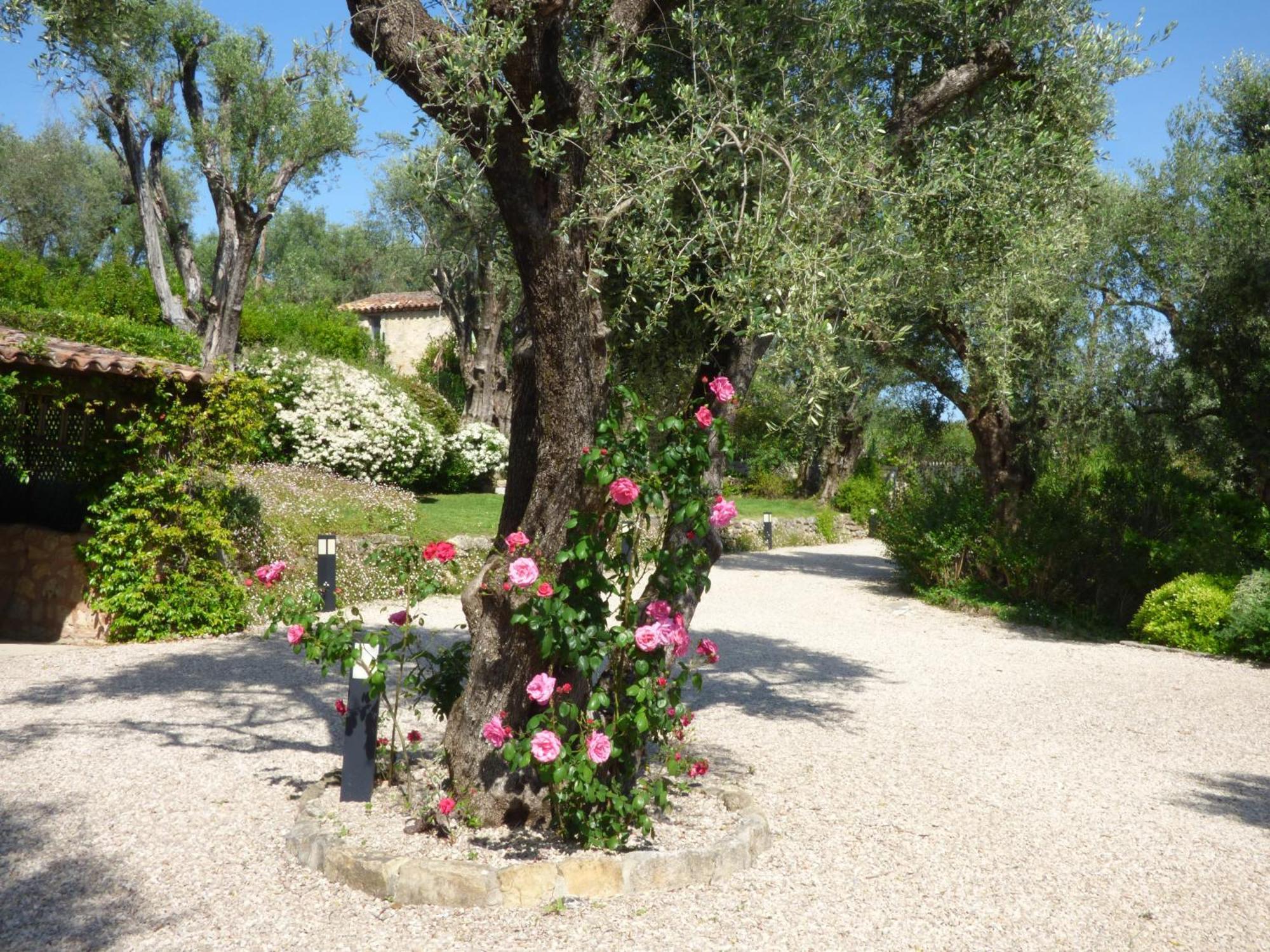 Apartment Picasso In Large Park With Heated Pool Chateauneuf-Grasse Exterior photo